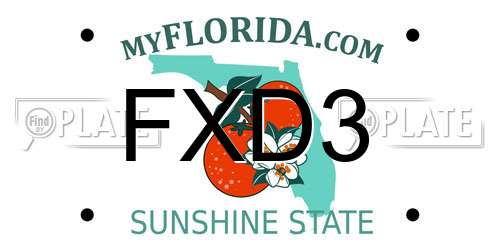 FXD3 Florida License Plate
