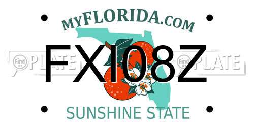 FXI08Z Florida License Plate
