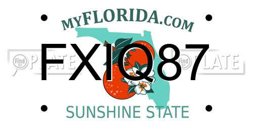 FXIQ87 Florida License Plate