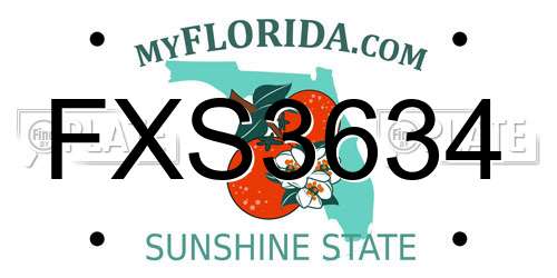FXS3634 Florida License Plate