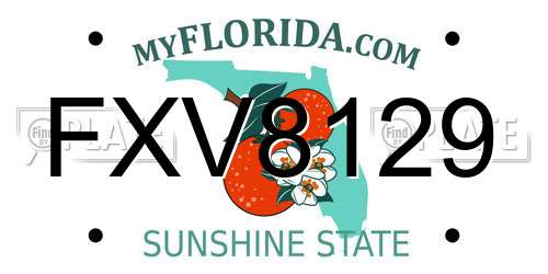 FXV8129 Florida License Plate