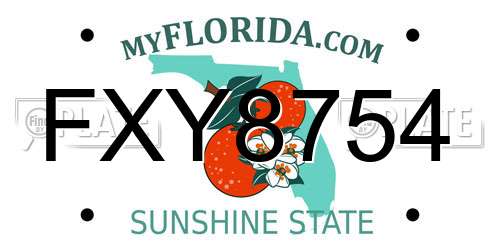 FXY8754 Florida License Plate