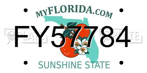 FY57784 Florida License Plate