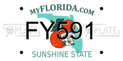 FY591 Florida License Plate