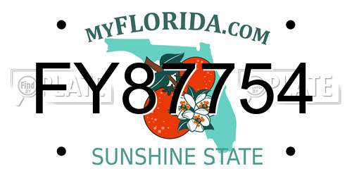 FY87754 Florida License Plate