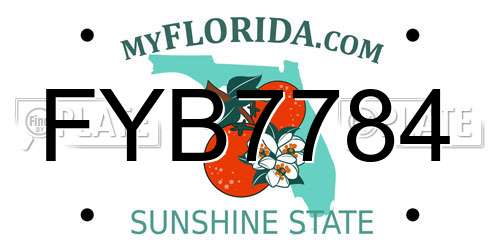 FYB7784 Florida License Plate