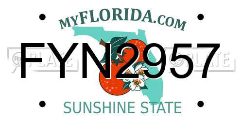 FYN2957 Florida License Plate