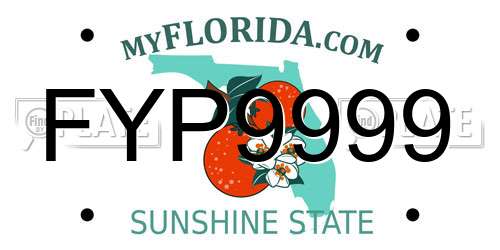 FYP9999 Florida License Plate