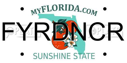 FYRDNCR Florida License Plate