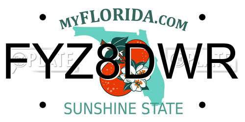 FYZ8DWR Florida License Plate
