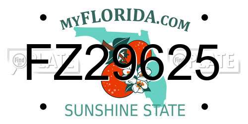 FZ29625 Florida License Plate