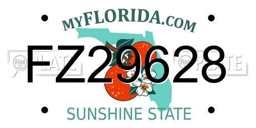 FZ29628 Florida License Plate
