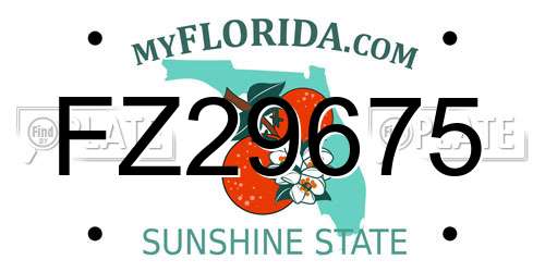FZ29675 Florida License Plate