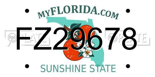 FZ29678 Florida License Plate