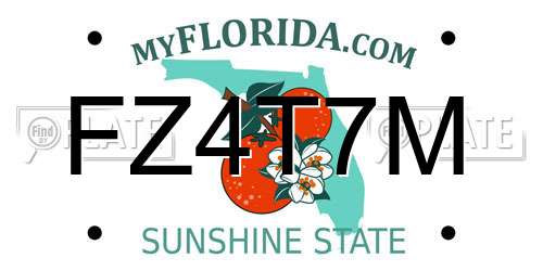 FZ4T7M Florida License Plate