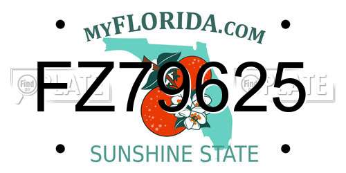 FZ79625 Florida License Plate