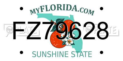 FZ79628 Florida License Plate