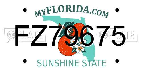 FZ79675 Florida License Plate