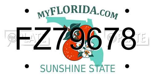 FZ79678 Florida License Plate