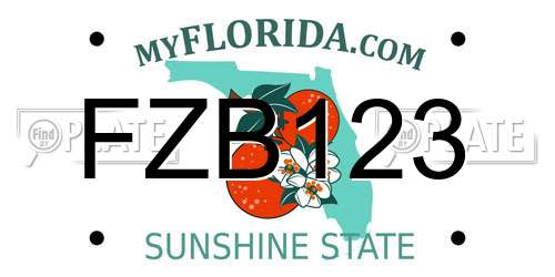 FZB123 Florida License Plate