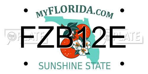 FZB12E Florida License Plate