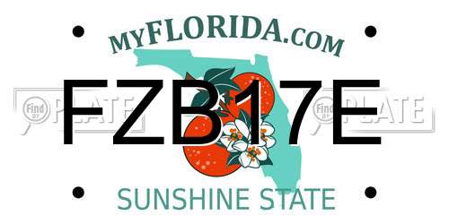 FZB17E Florida License Plate