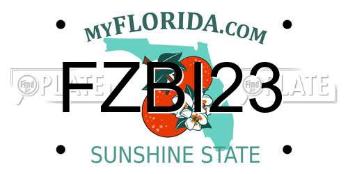 FZBI23 Florida License Plate