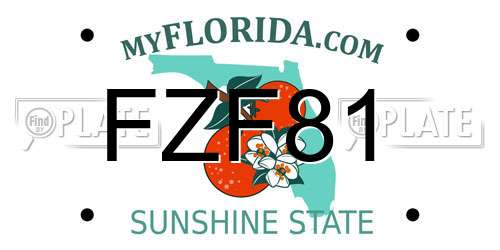 FZF81 Florida License Plate