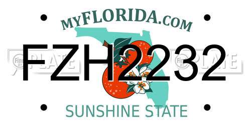 FZH2232 Florida License Plate