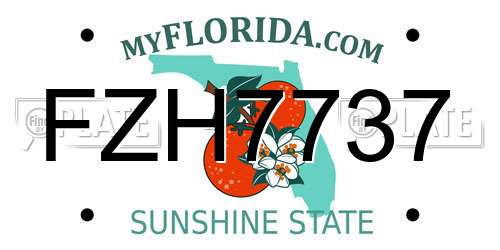 FZH7737 Florida License Plate