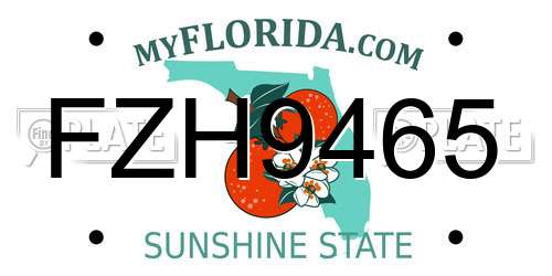 FZH9465 Florida License Plate