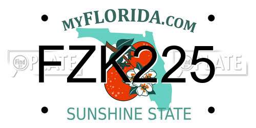 FZK225 Florida License Plate