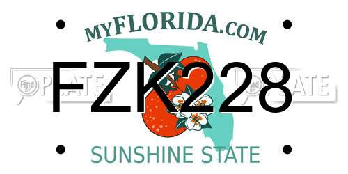 FZK228 Florida License Plate