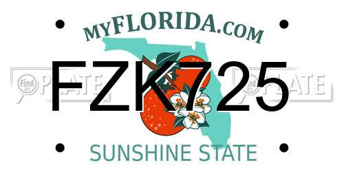 FZK725 Florida License Plate
