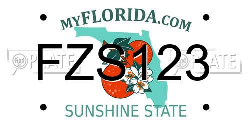 FZS123 Florida License Plate