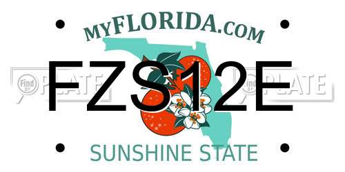 FZS12E Florida License Plate