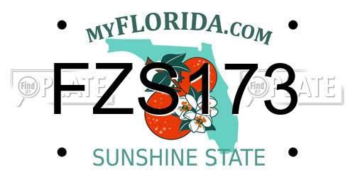 FZS173 Florida License Plate