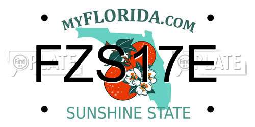 FZS17E Florida License Plate