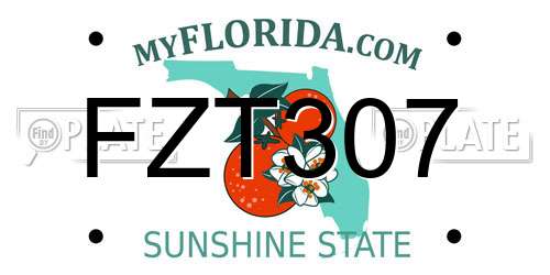 FZT307 Florida License Plate