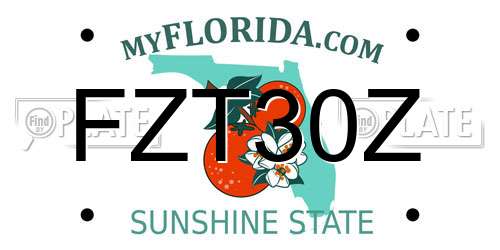 FZT30Z Florida License Plate