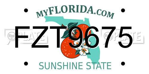 FZT9675 Florida License Plate