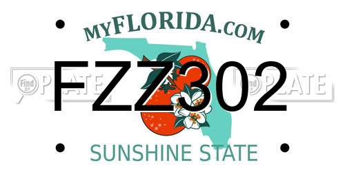 FZZ302 Florida License Plate