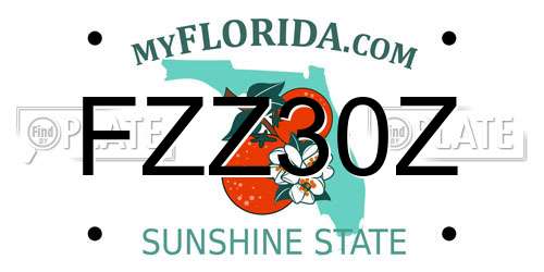 FZZ30Z Florida License Plate