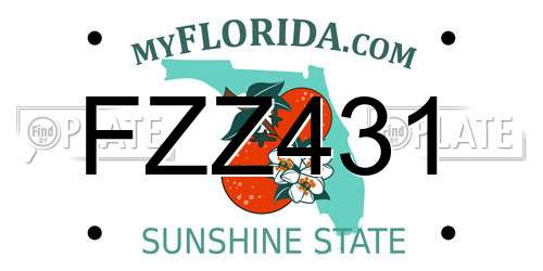 FZZ431 Florida License Plate