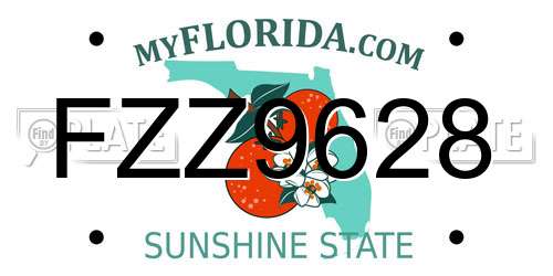 FZZ9628 Florida License Plate