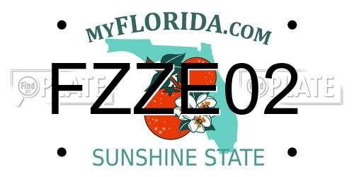 FZZE02 Florida License Plate