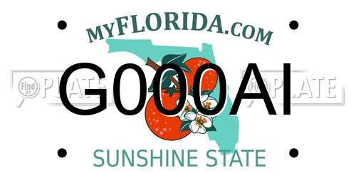 G000AI Florida License Plate