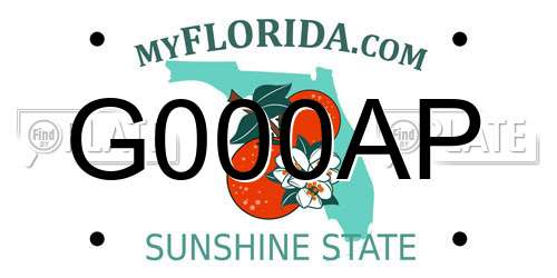 G000AP Florida License Plate