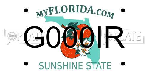 G000IR Florida License Plate