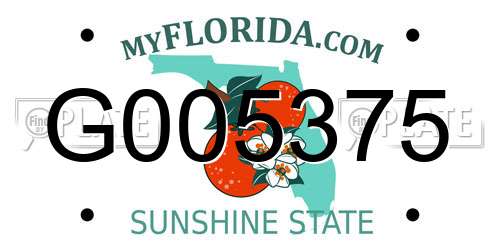 G005375 Florida License Plate
